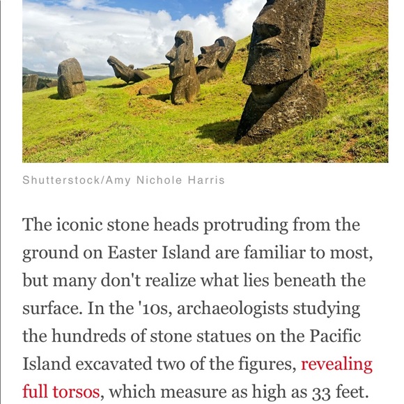 💥COMMENTS FULL LIKE NEW FOLLOW GAME #2 With the 🥕 carrot. - Picture 13 of 16